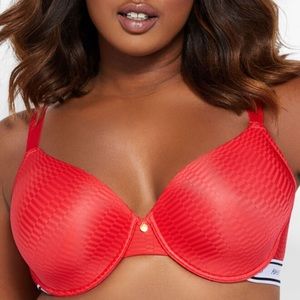 Ashley Stewart T shirt Bra BNWT